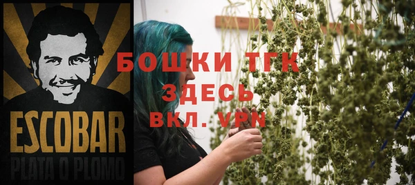 ешки Алексин