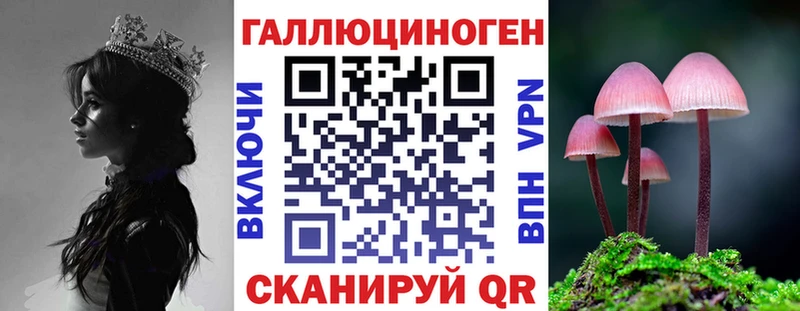 kraken как войти  Пойковский  Галлюциногенные грибы Psilocybe 